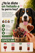 Paletas para Tu perrito