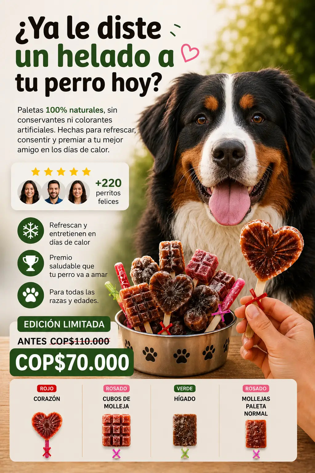 Paletas para Tu perrito